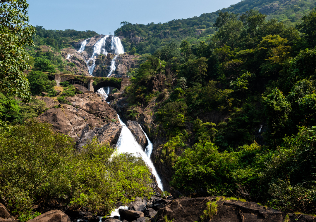 Goa Travel_Dudhsagar Waterfalls.jpg